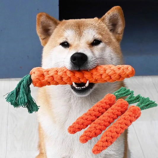 CarrotChew